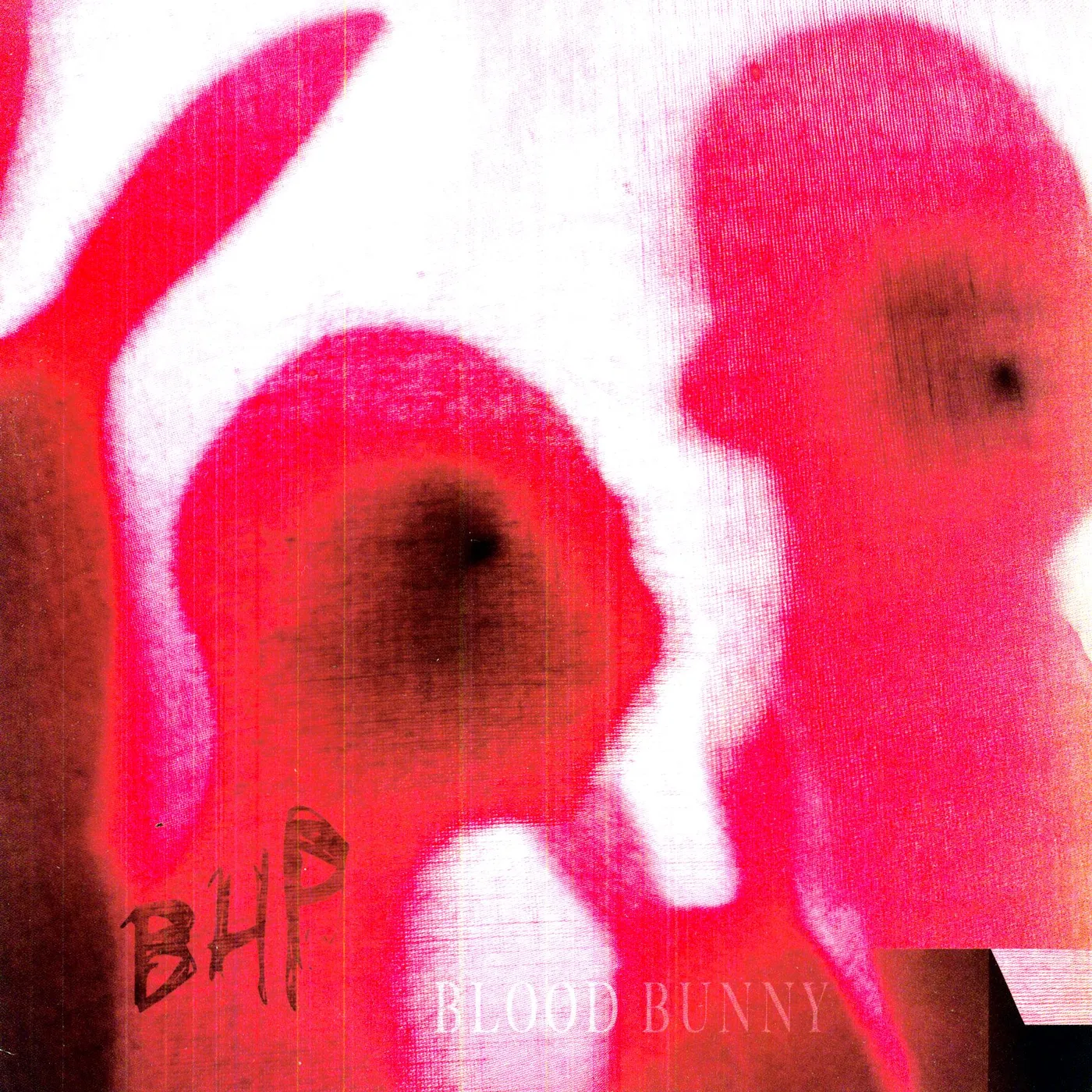 The Black Heart Procession Blood Bunny / Black Rabbit Vinyl Record