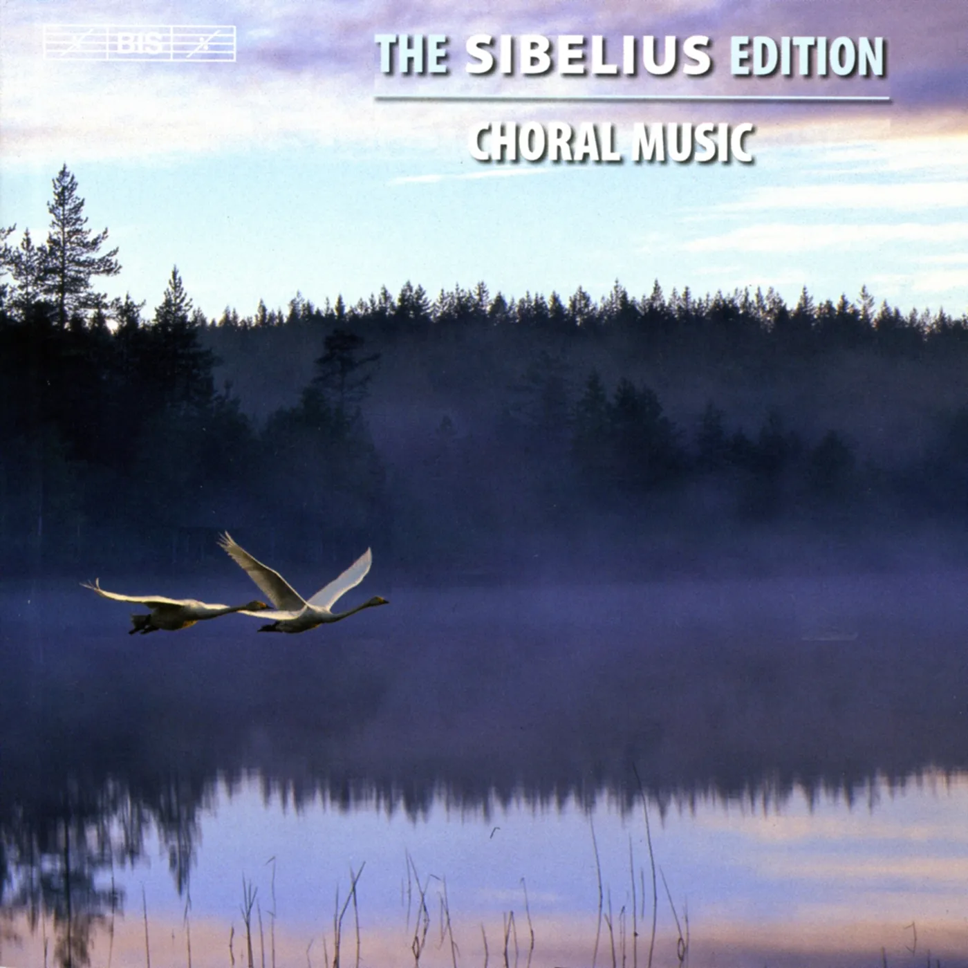 Jean Sibelius SIBELIUS - BOX 11 CD