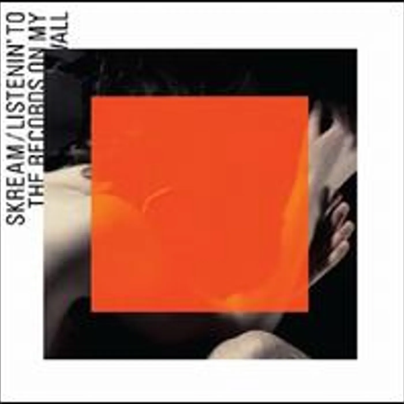 Skream LISTENIN TO THE RECORDS ON MY WALL Vinyl Record