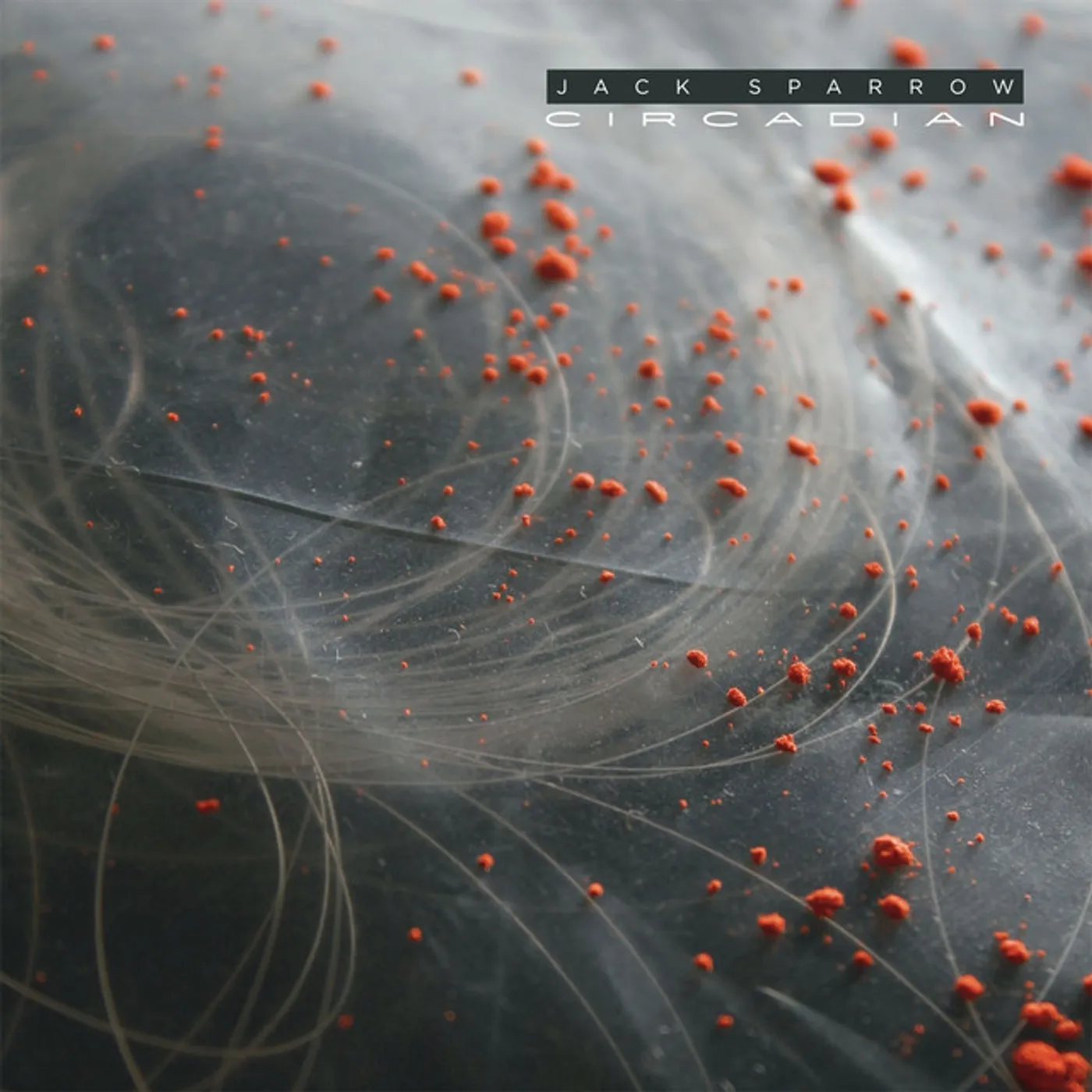 Jack Sparrow Circadian Vinyl Record