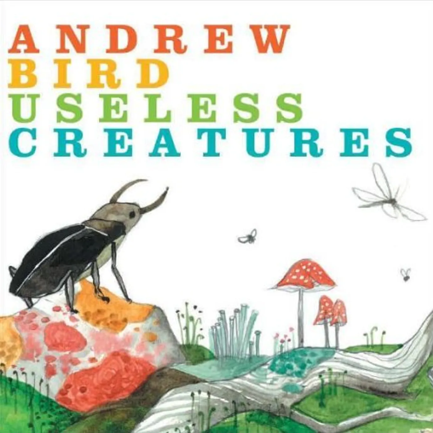 Andrew Bird Useless Creatures Vinyl Record