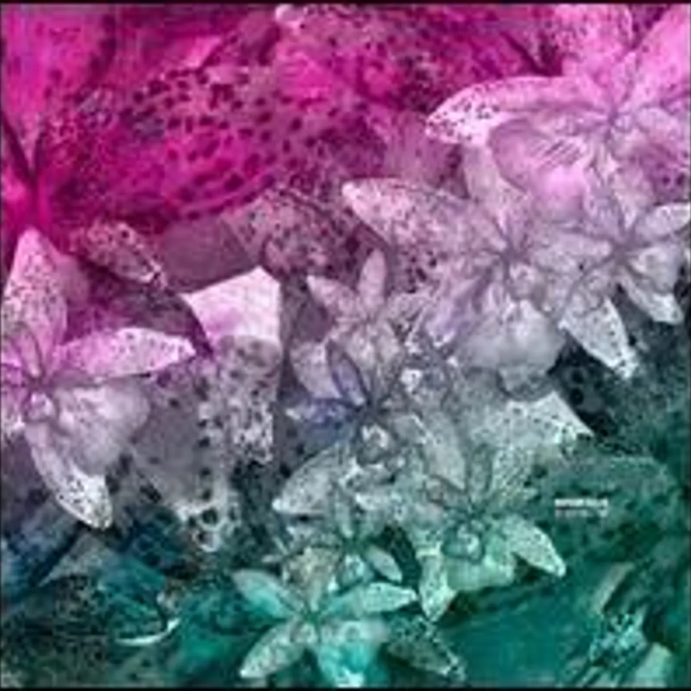 Digitaline Okoubaka Vinyl Record