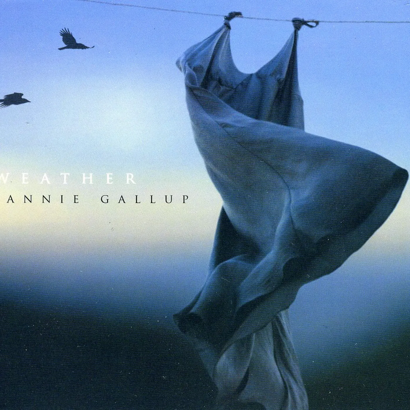 Annie Gallup WEATHER CD