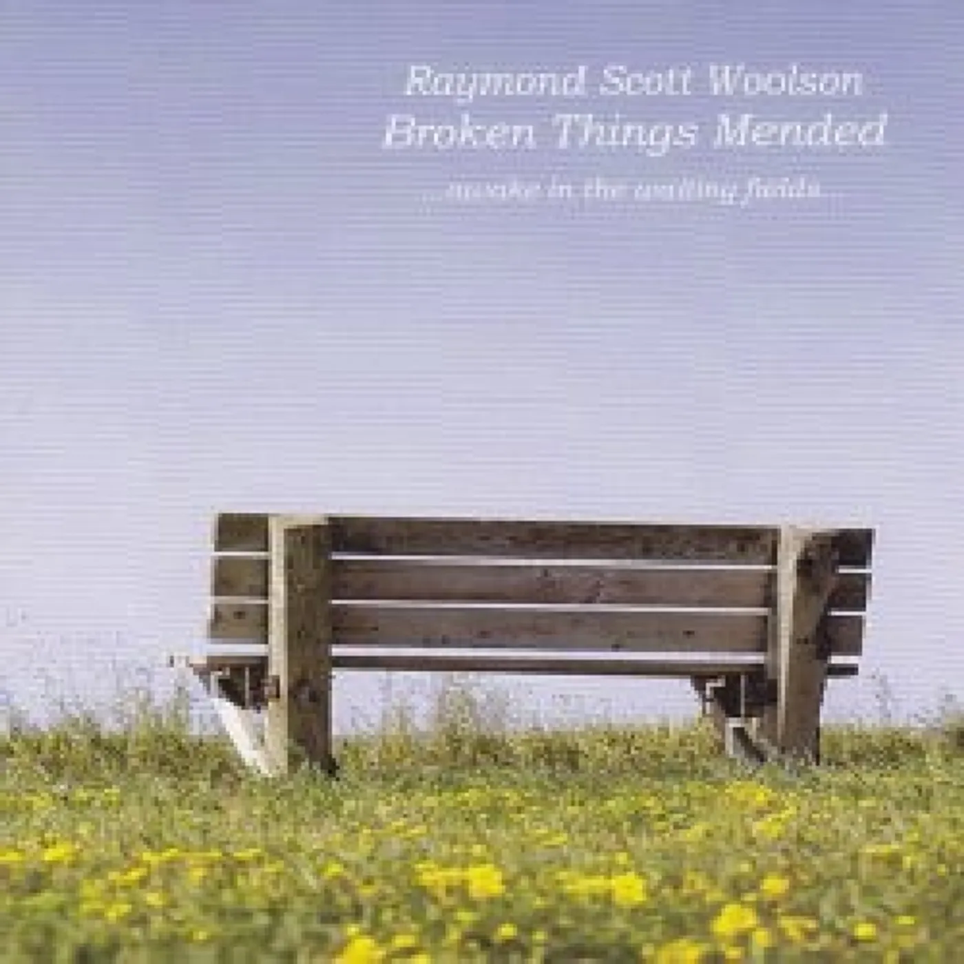 Raymond Scott Woolson BROKEN THINGS MENDED CD