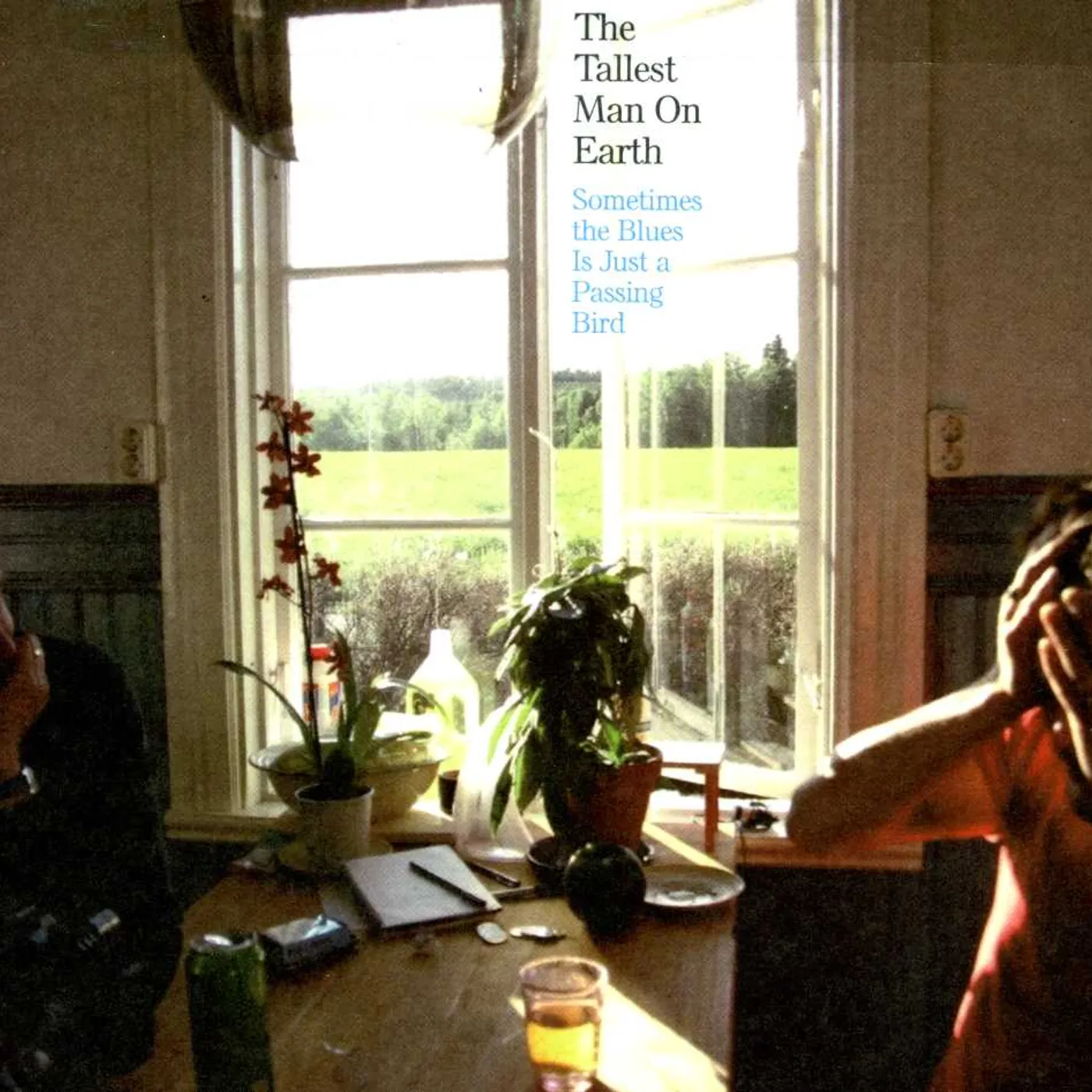 The Tallest Man On Earth SOMETIMES THE BLUES IS JUST A PASSING BIRD CD