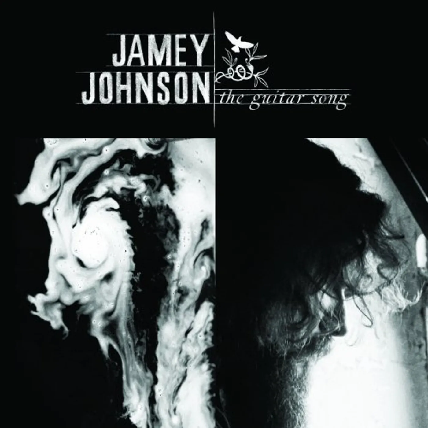 Jamey Johnson GUITAR SONG Vinyl Record
