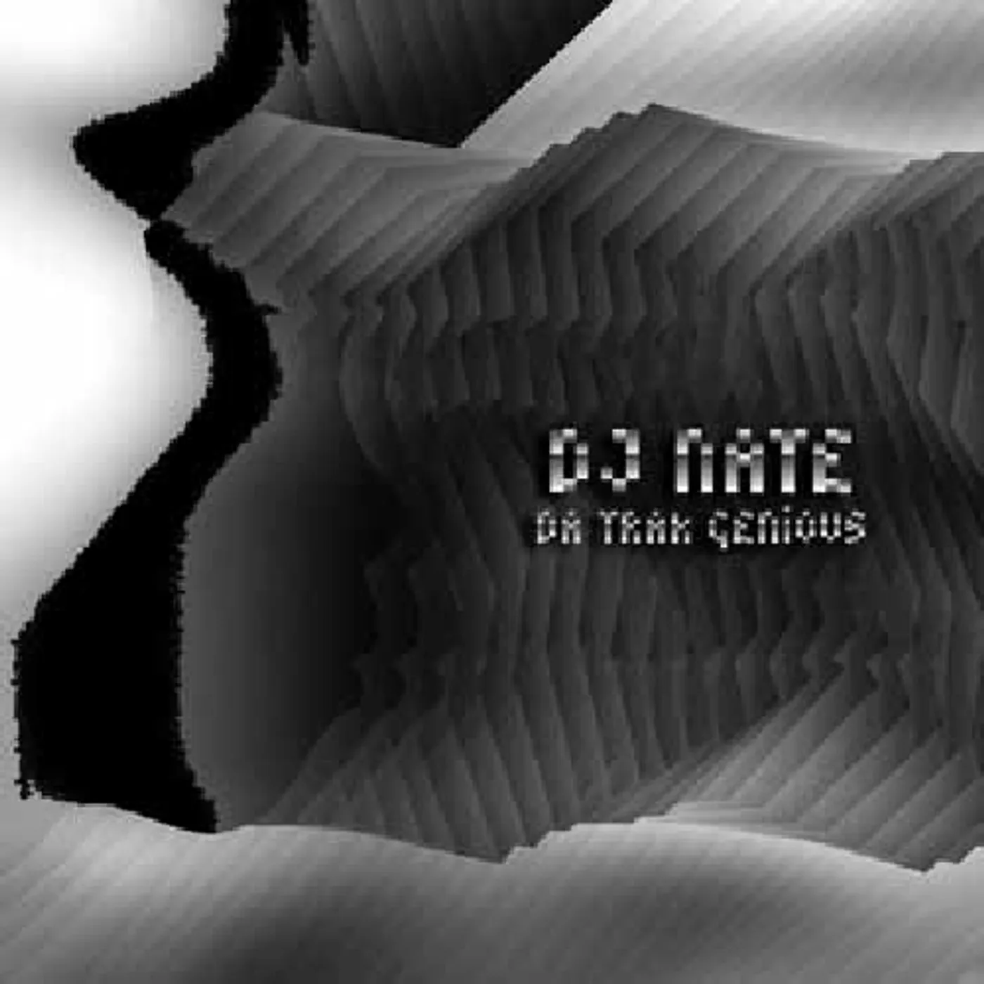 DJ Nate Da Trak Genious Vinyl Record