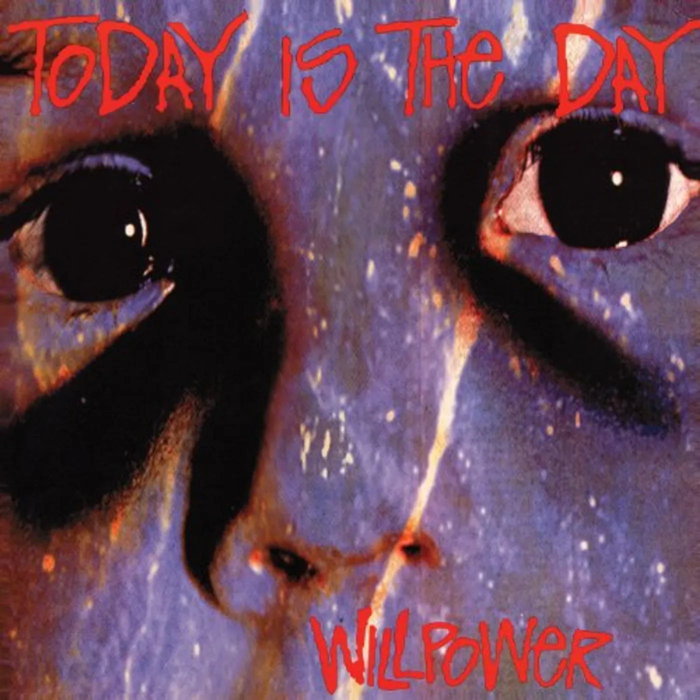 TODAY IS THE DAY Willpower Vinyl Record