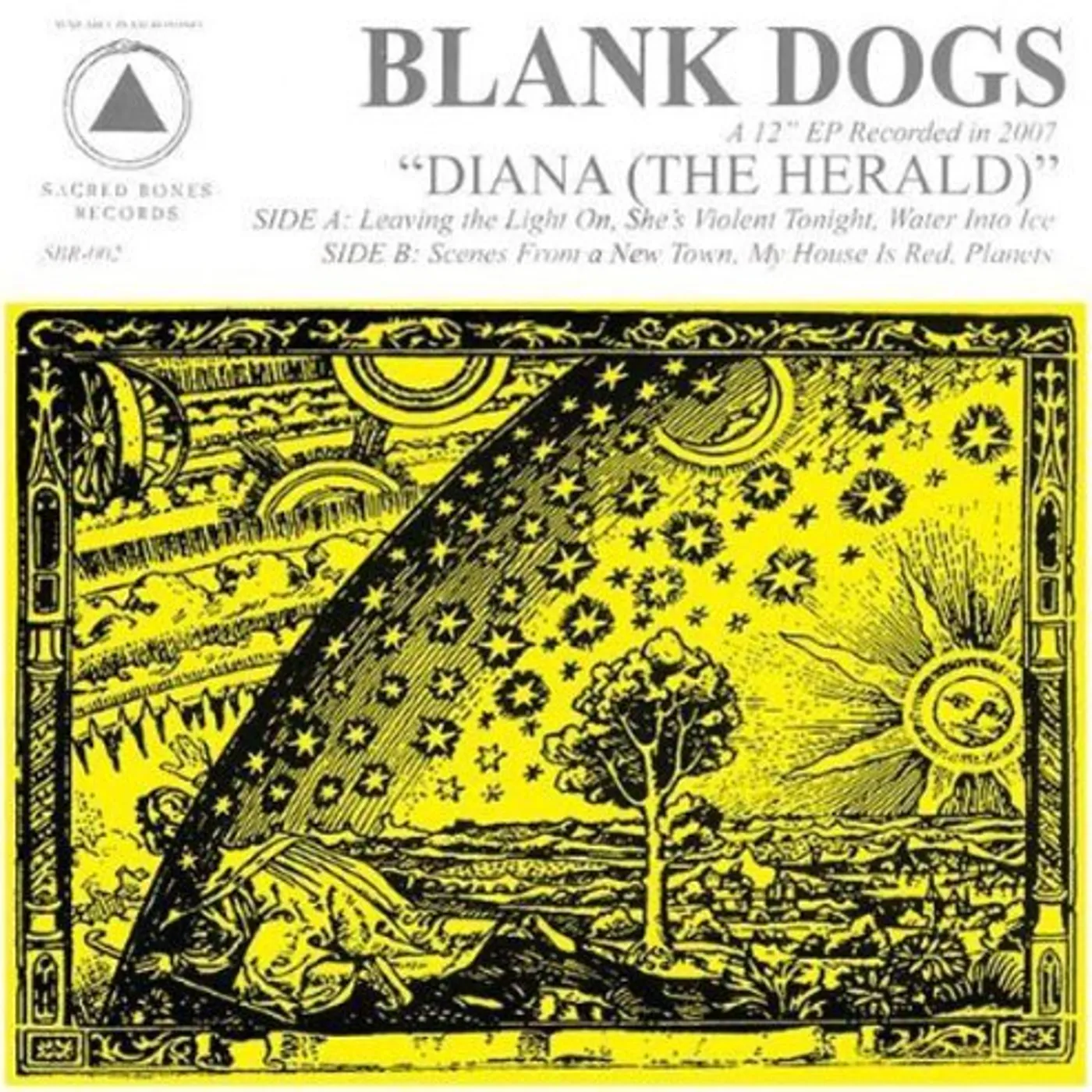 Blank Dogs DIANA: THE HERALD Vinyl Record