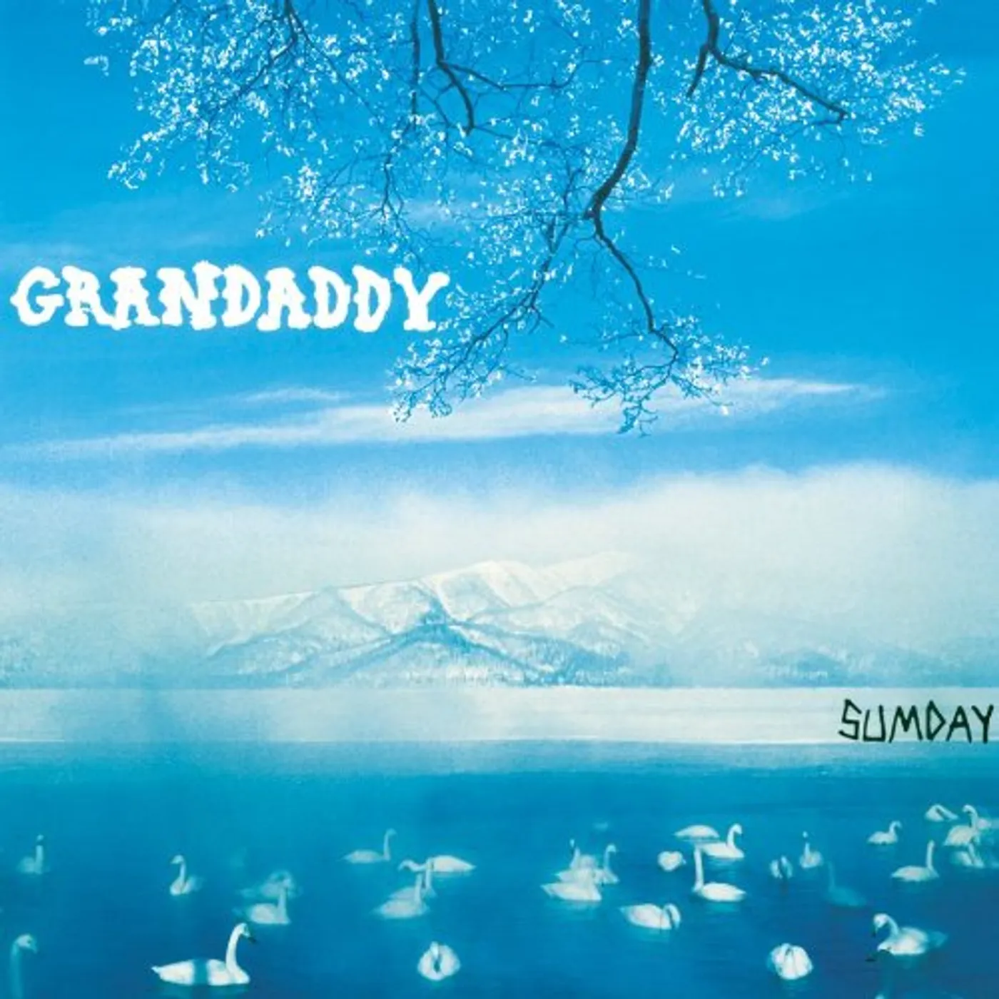 Grandaddy Sumday Vinyl Record