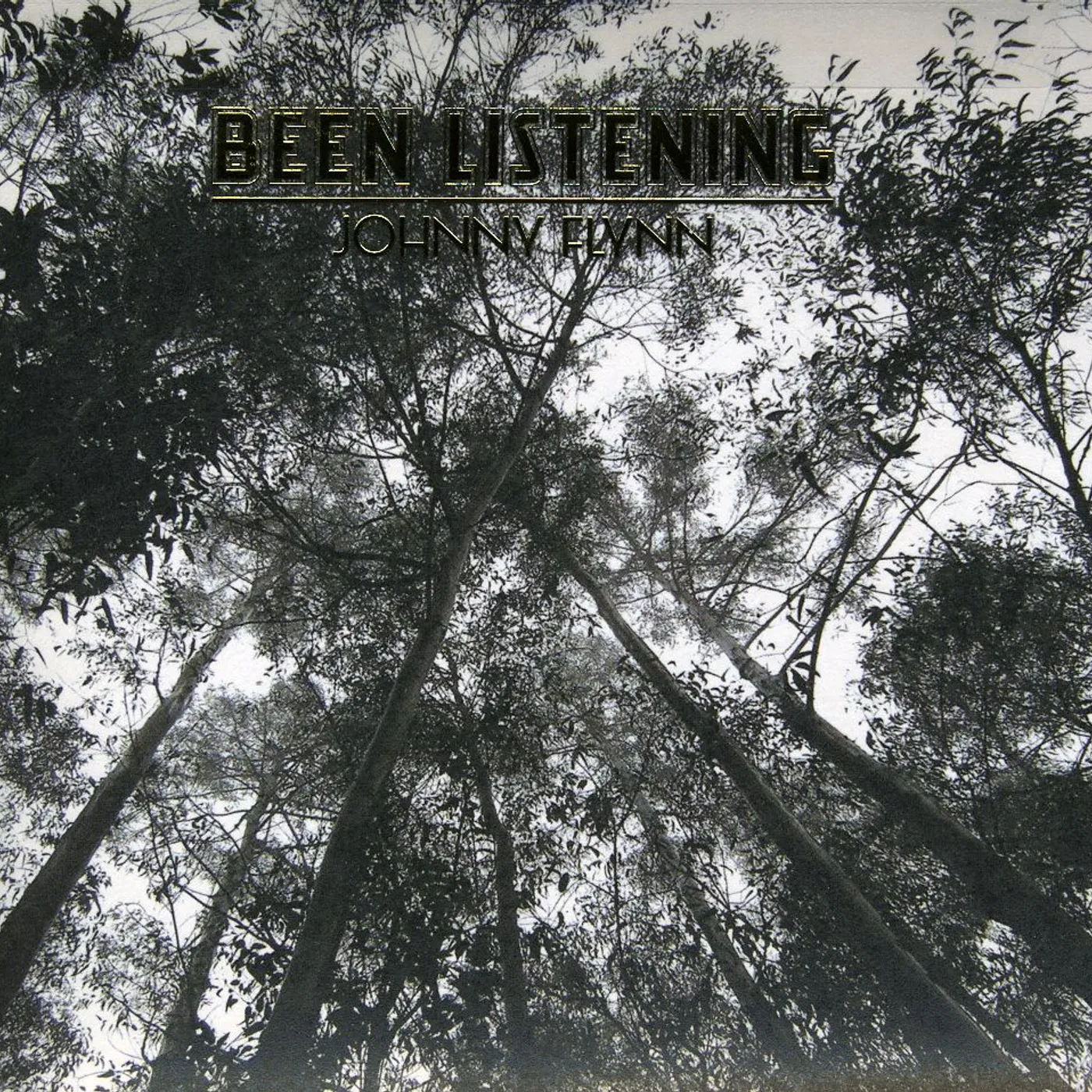 Johnny Flynn BEEN LISTENING CD