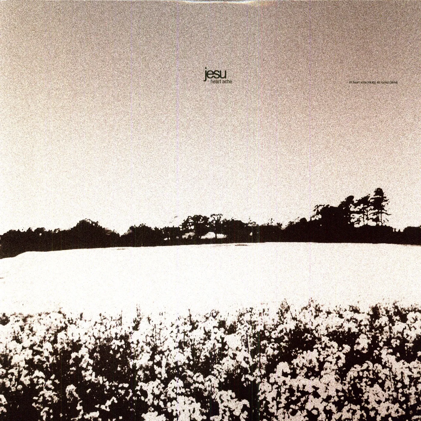 Jesu HEARTACHE & DETHRONED Vinyl Record