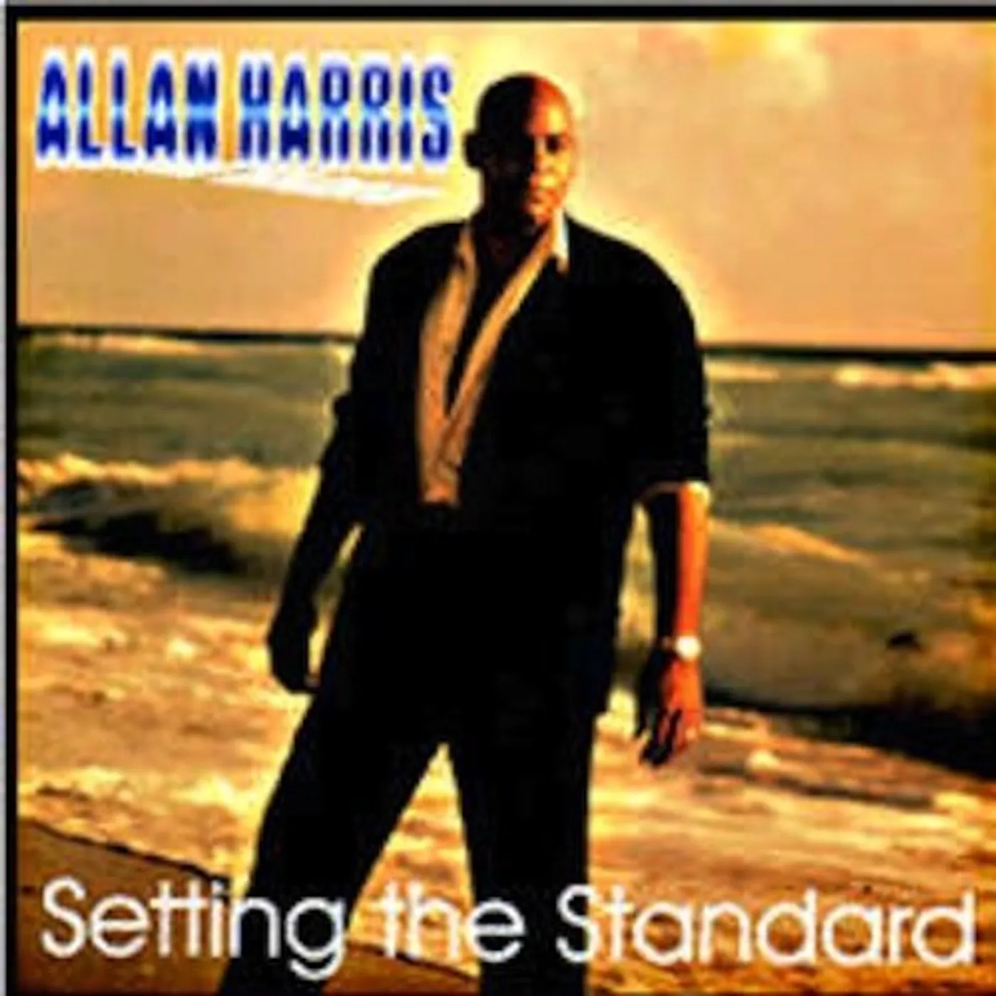 Allan Harris SETTING THE STANDARD CD