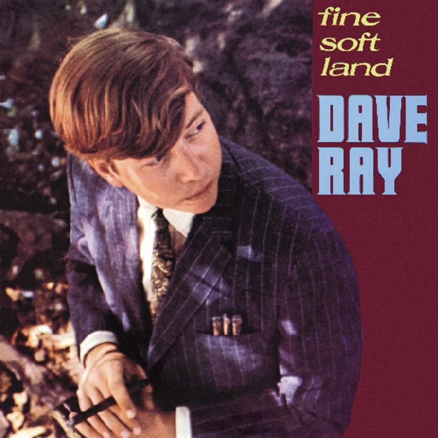 Dave Ray FINE SOFT LAND CD