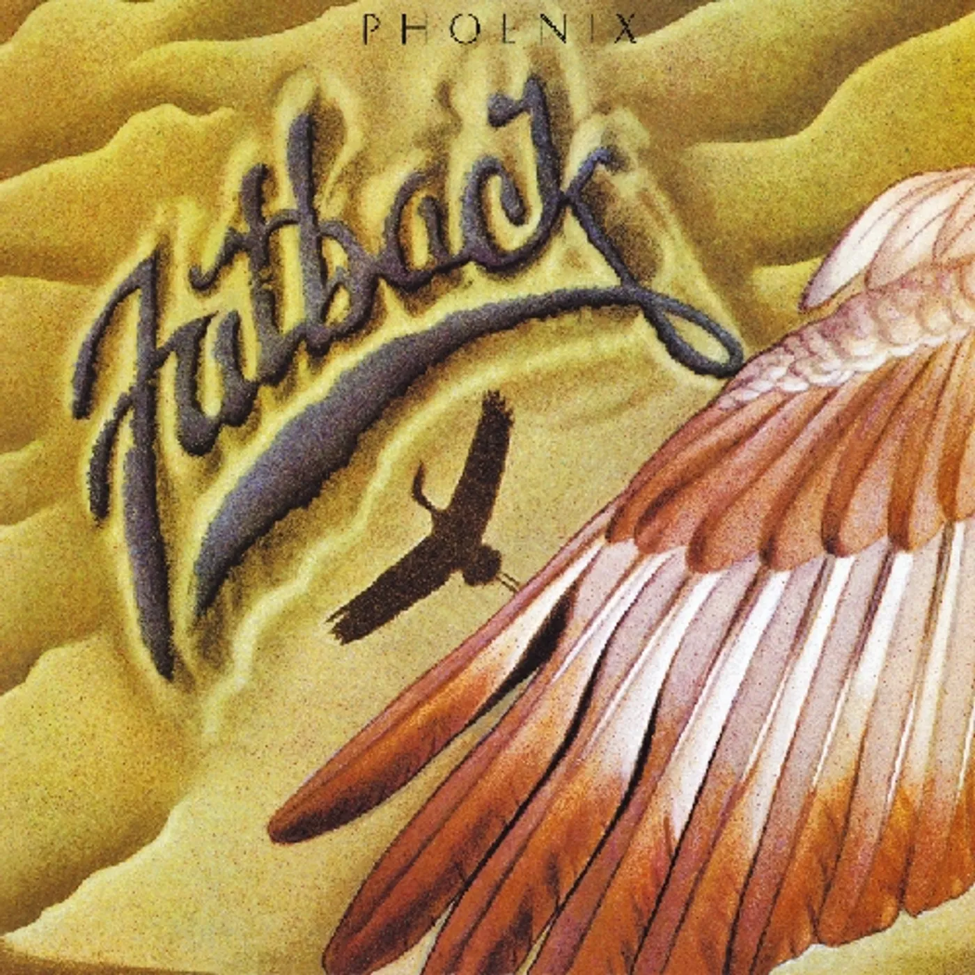 Fatback Band PHOENIX CD