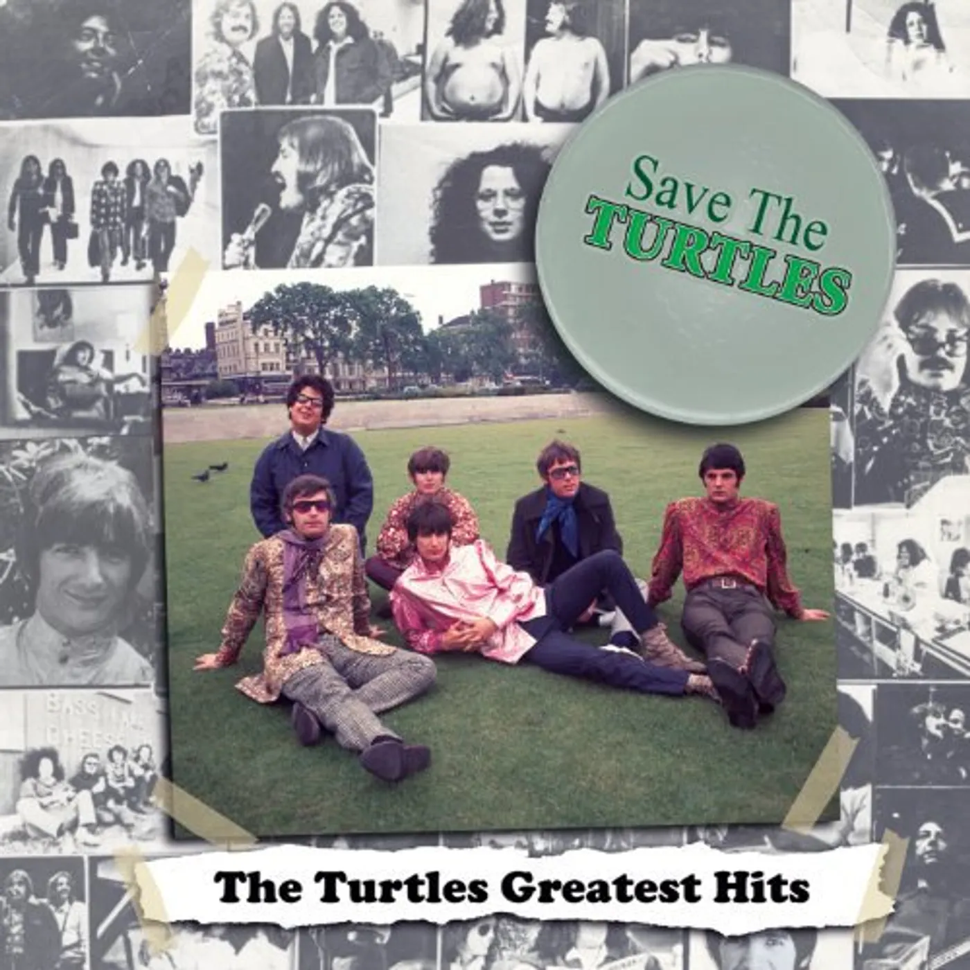 SAVE THE TURTLES: TURTLES GREATEST HITS Vinyl Record