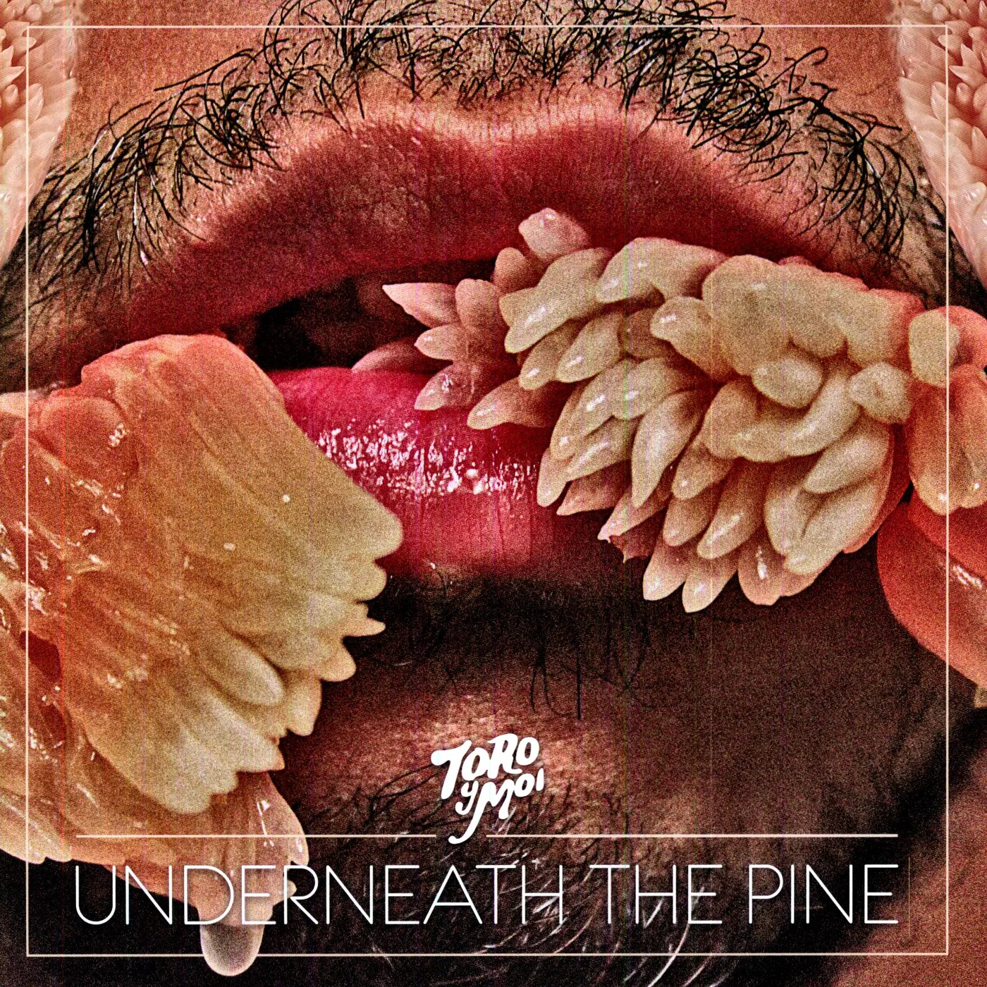 Toro y Moi Underneath The Pine Vinyl Record