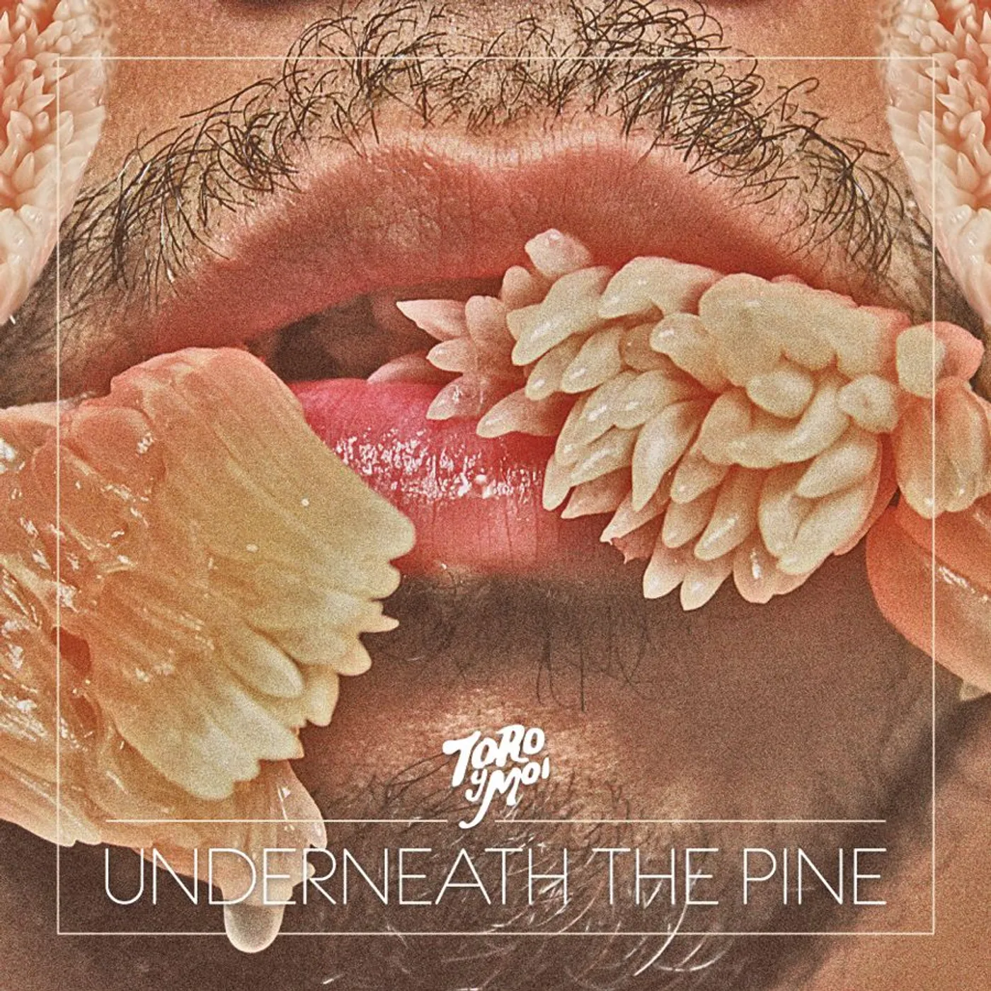 Toro y Moi UNDERNEATH THE PINE CD