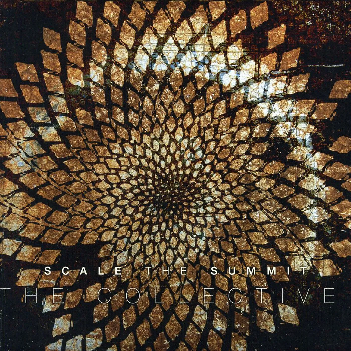 Scale The Summit COLLECTIVE CD