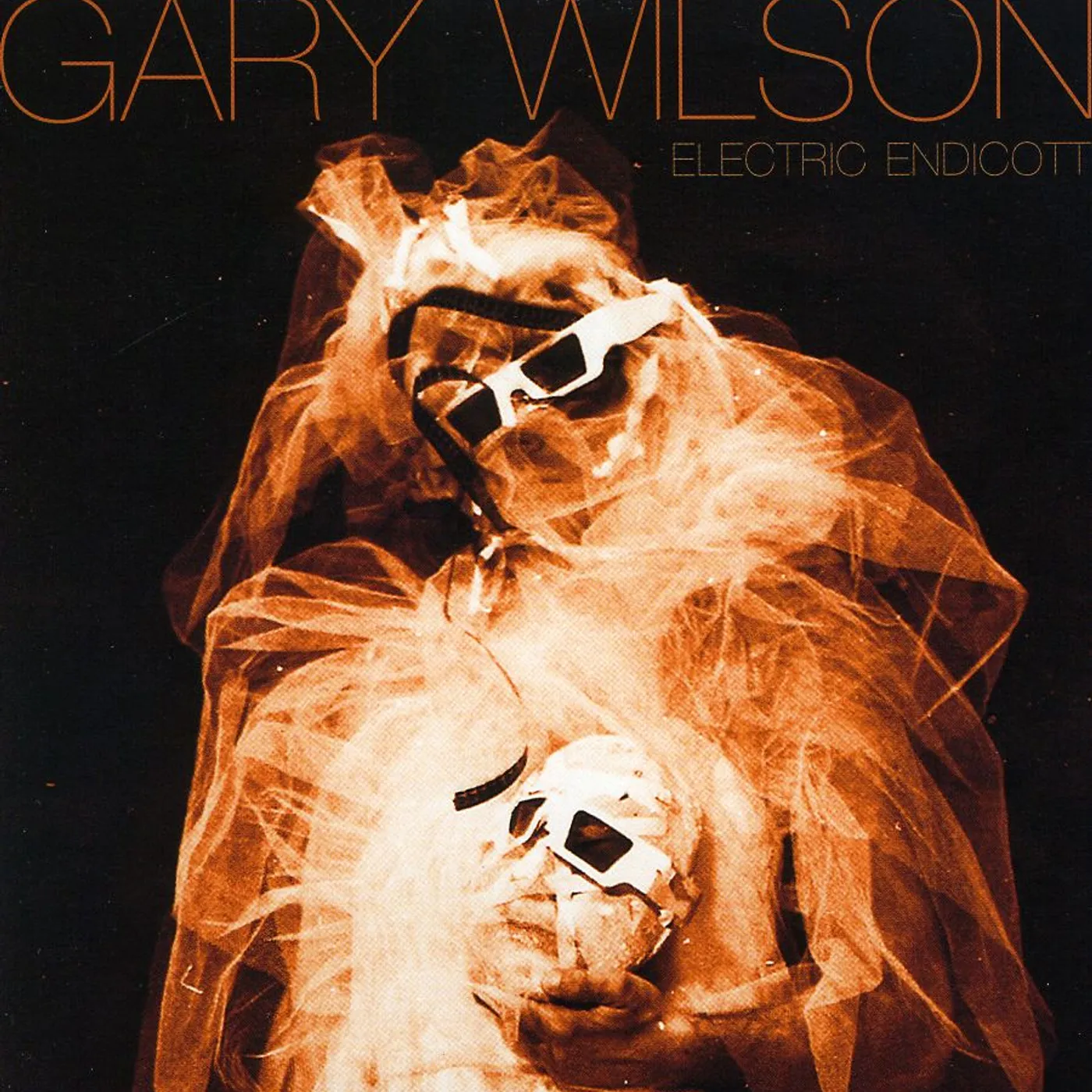 Gary Wilson ELECTRIC ENDICOTT CD