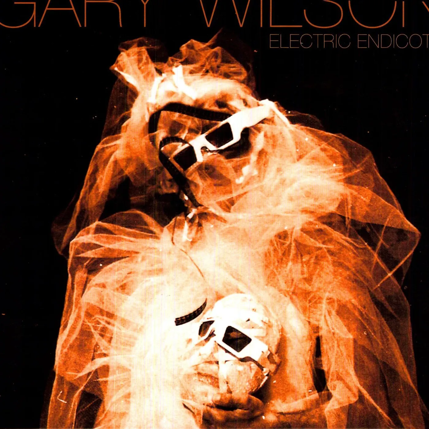 Gary Wilson Electric Endicott Vinyl Record