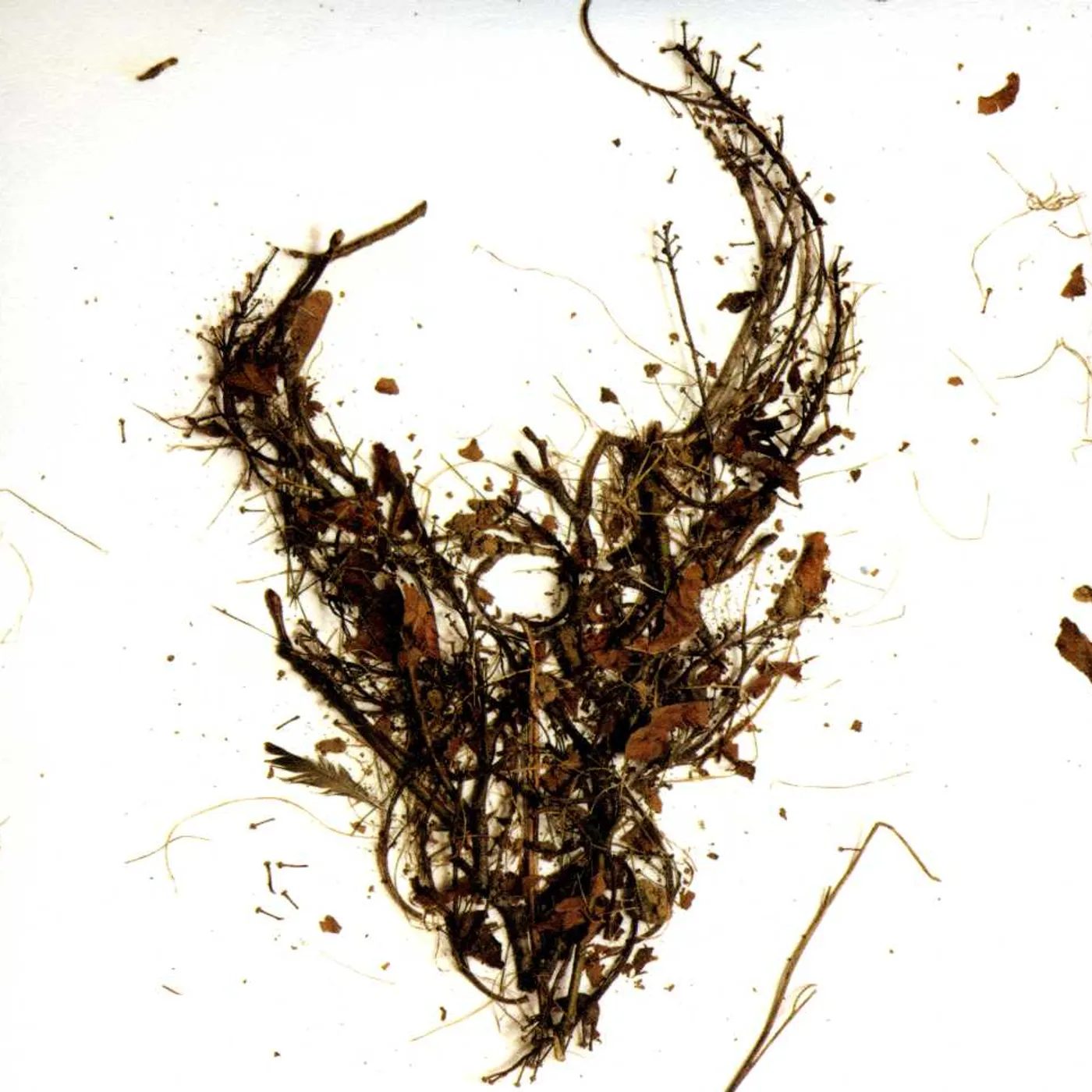 Demon Hunter DEATH: A DESTINATION CD