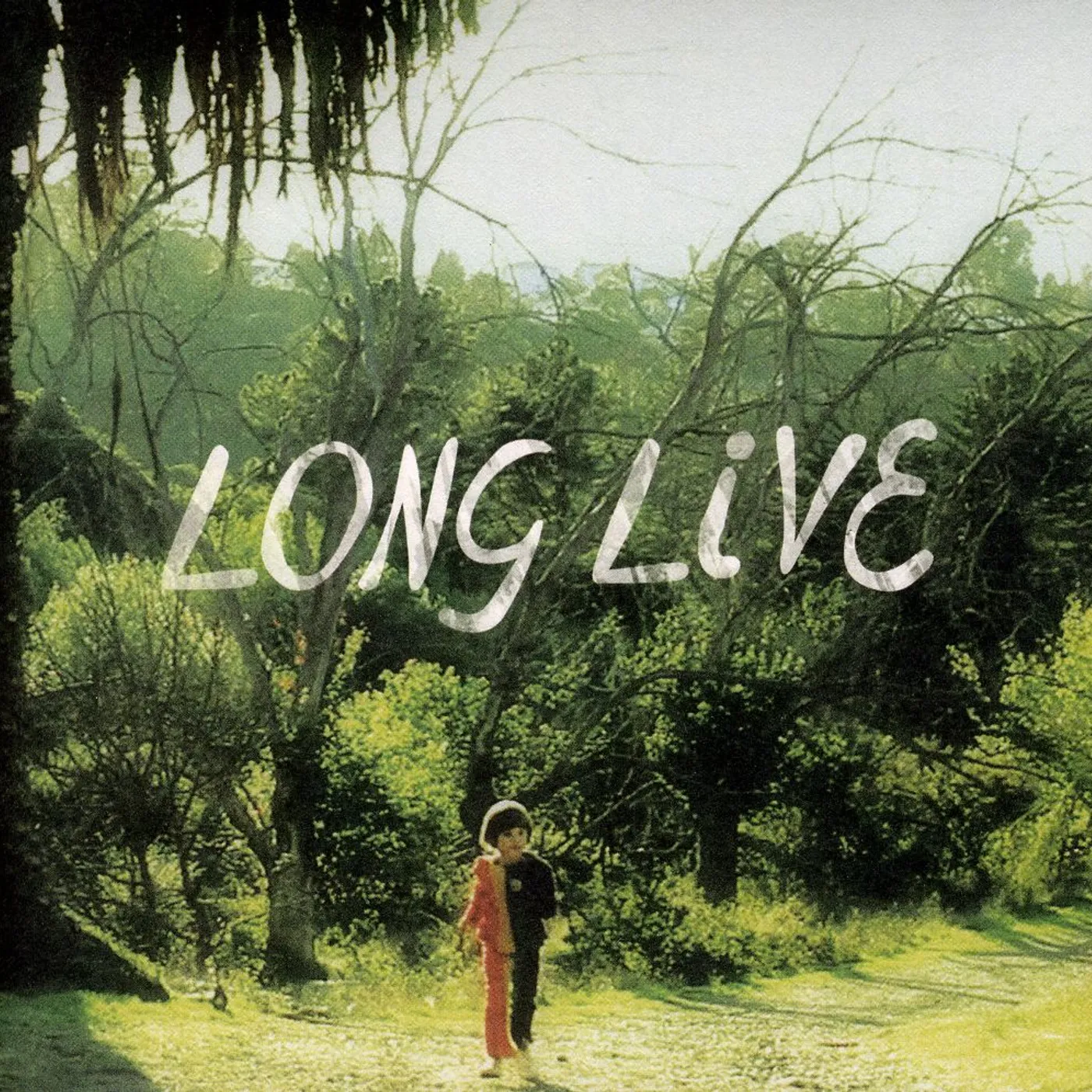 Snowblink LONG LIVE CD