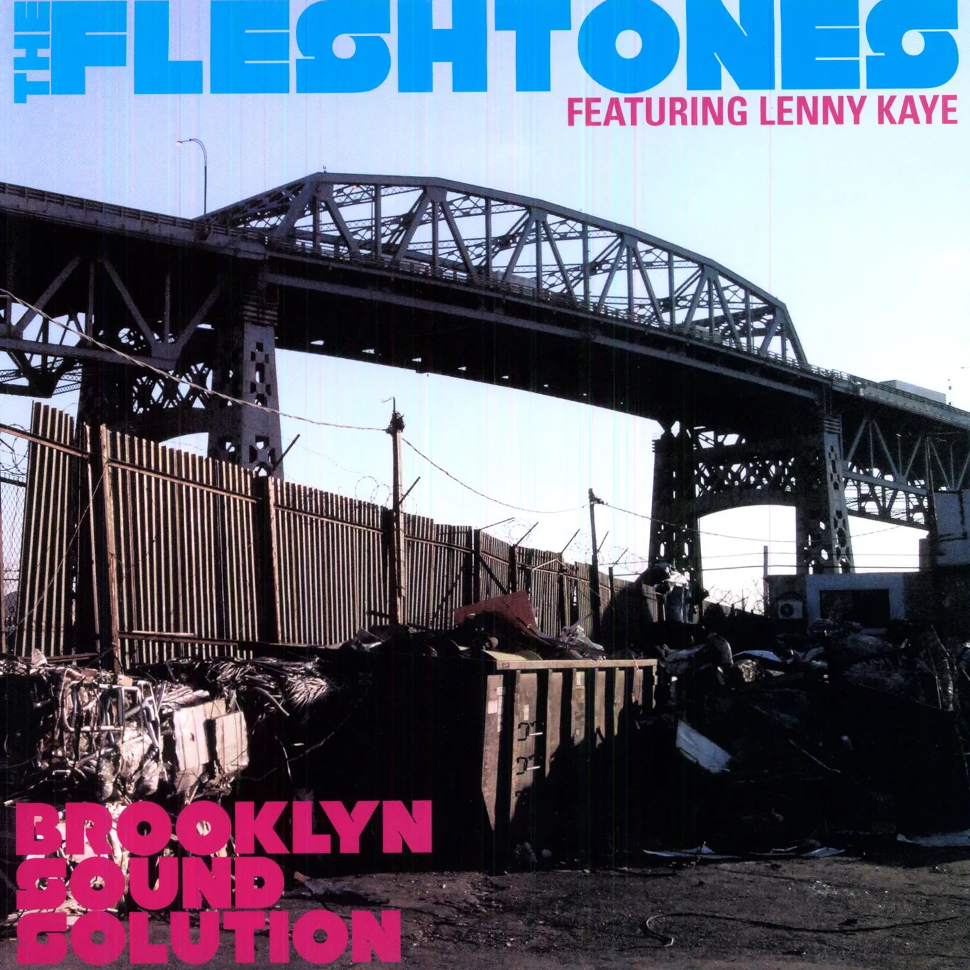 The Fleshtones Brooklyn Sound Solution Vinyl Record