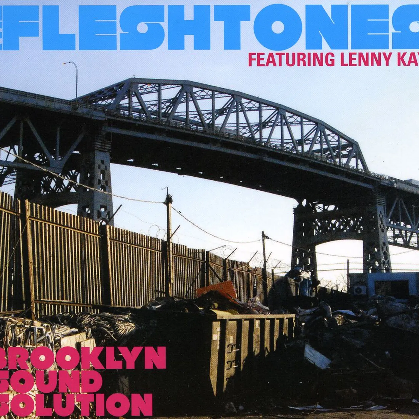 The Fleshtones BROOKLYN SOUND SOLUTION CD