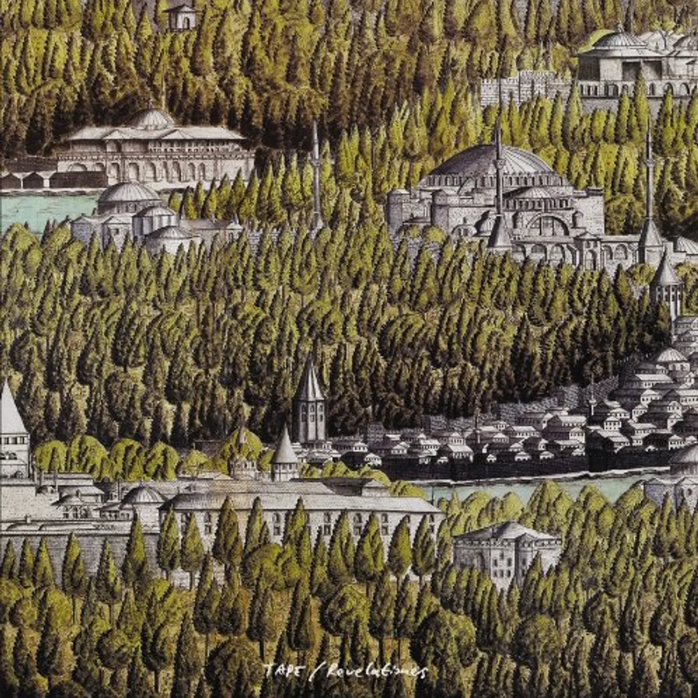 Tape Revelationes Vinyl Record