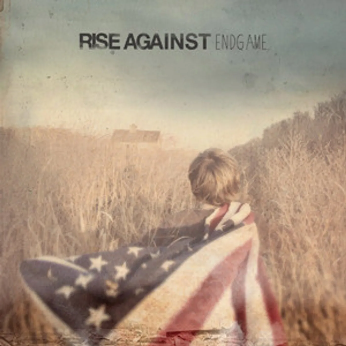 Rise Against Endgame Vinyl Record