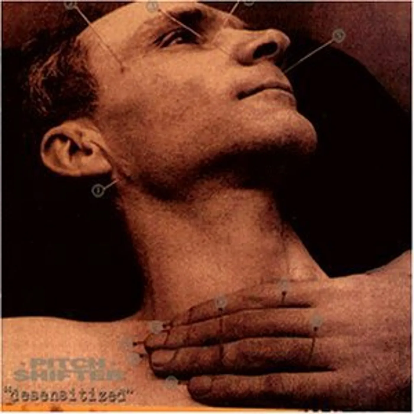 Pitch Shifter DESENSITIZED Vinyl Record