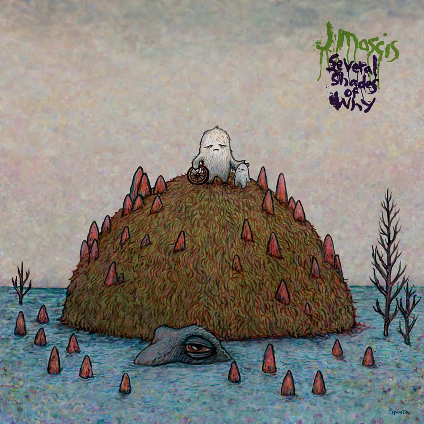 J Mascis SEVERAL SHADES OF WHY CD