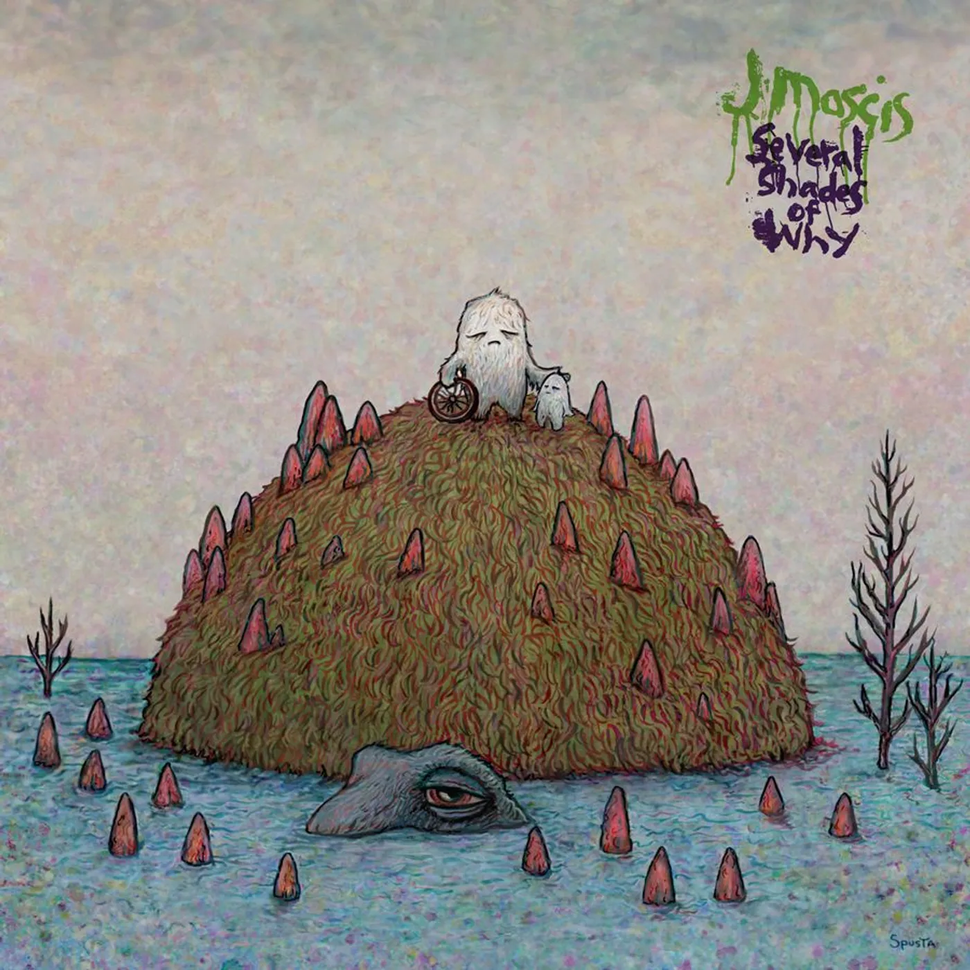 J Mascis Several Shades of Why Vinyl Record