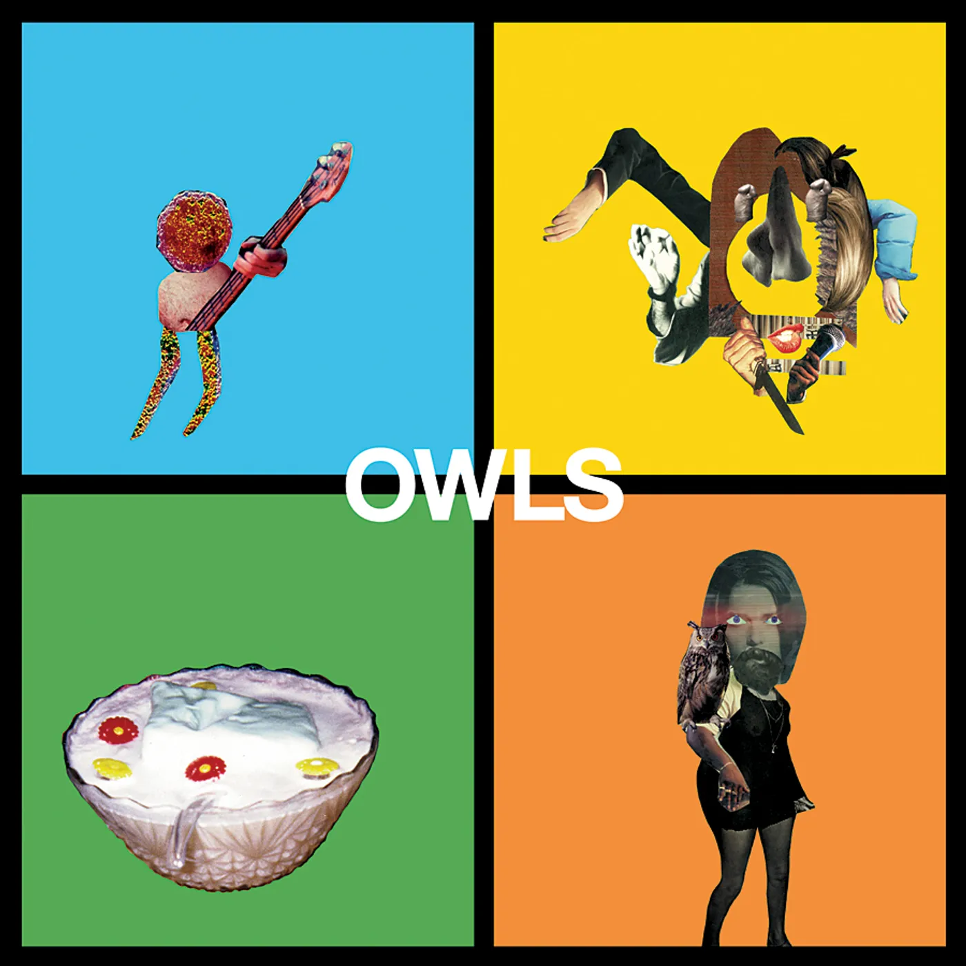 Owls Vinyl Record