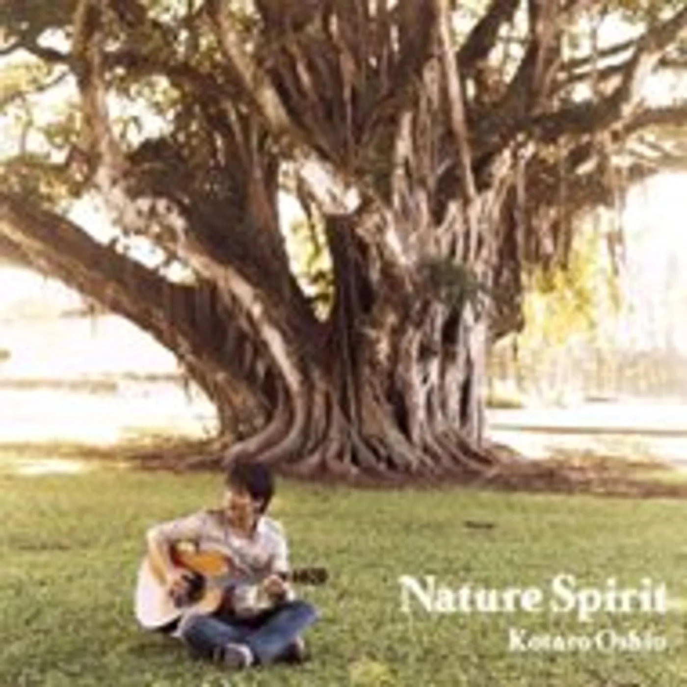Kotaro Oshio NATURE SPIRIT CD