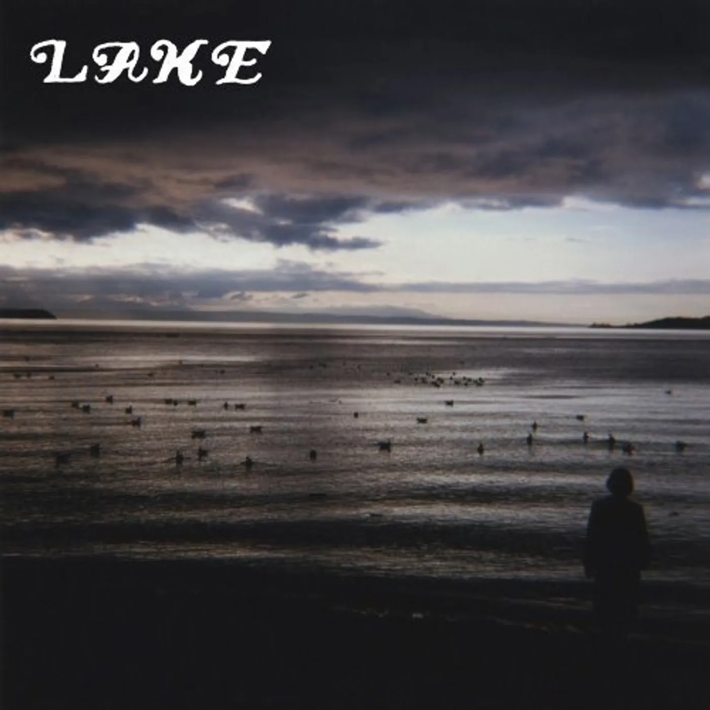 LAKE YOU ARE ALONE / HIGHER THAN MERRY Vinyl Record