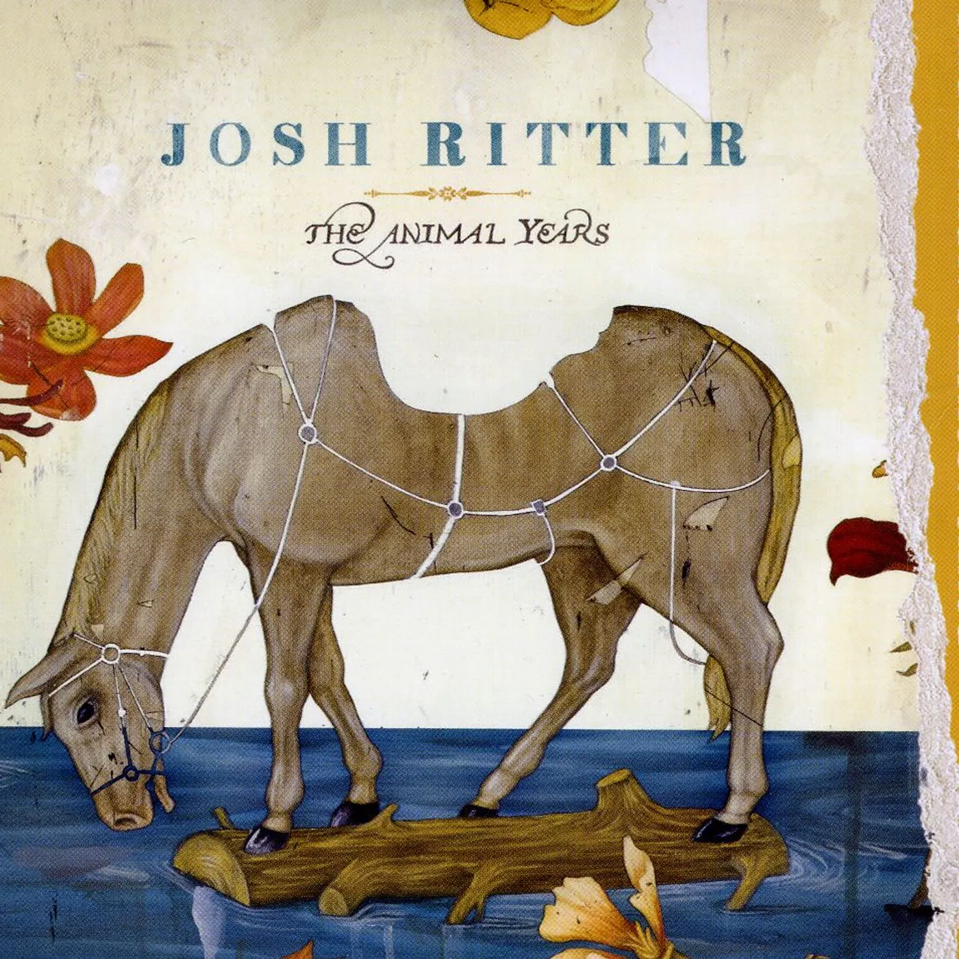 Josh Ritter ANIMAL YEARS CD