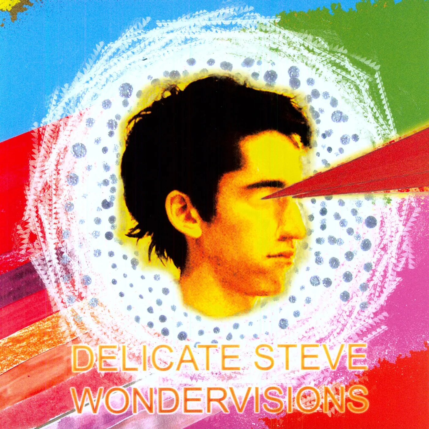 Delicate Steve Wondervisions Vinyl Record
