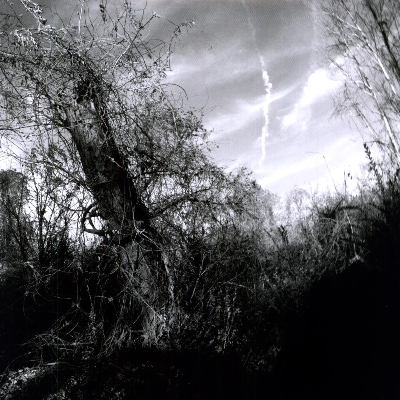 Harvey Milk SMALL TURN OF HUMAN KINDNESS Vinyl Record - Digital Download Included