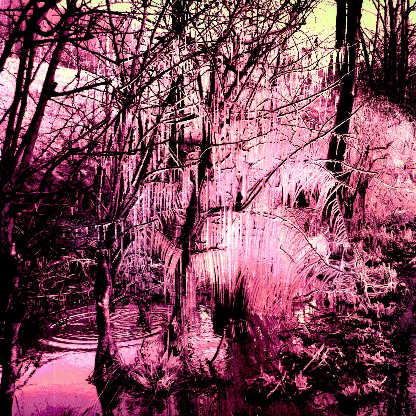 Esben and the Witch Violet Cries Vinyl Record