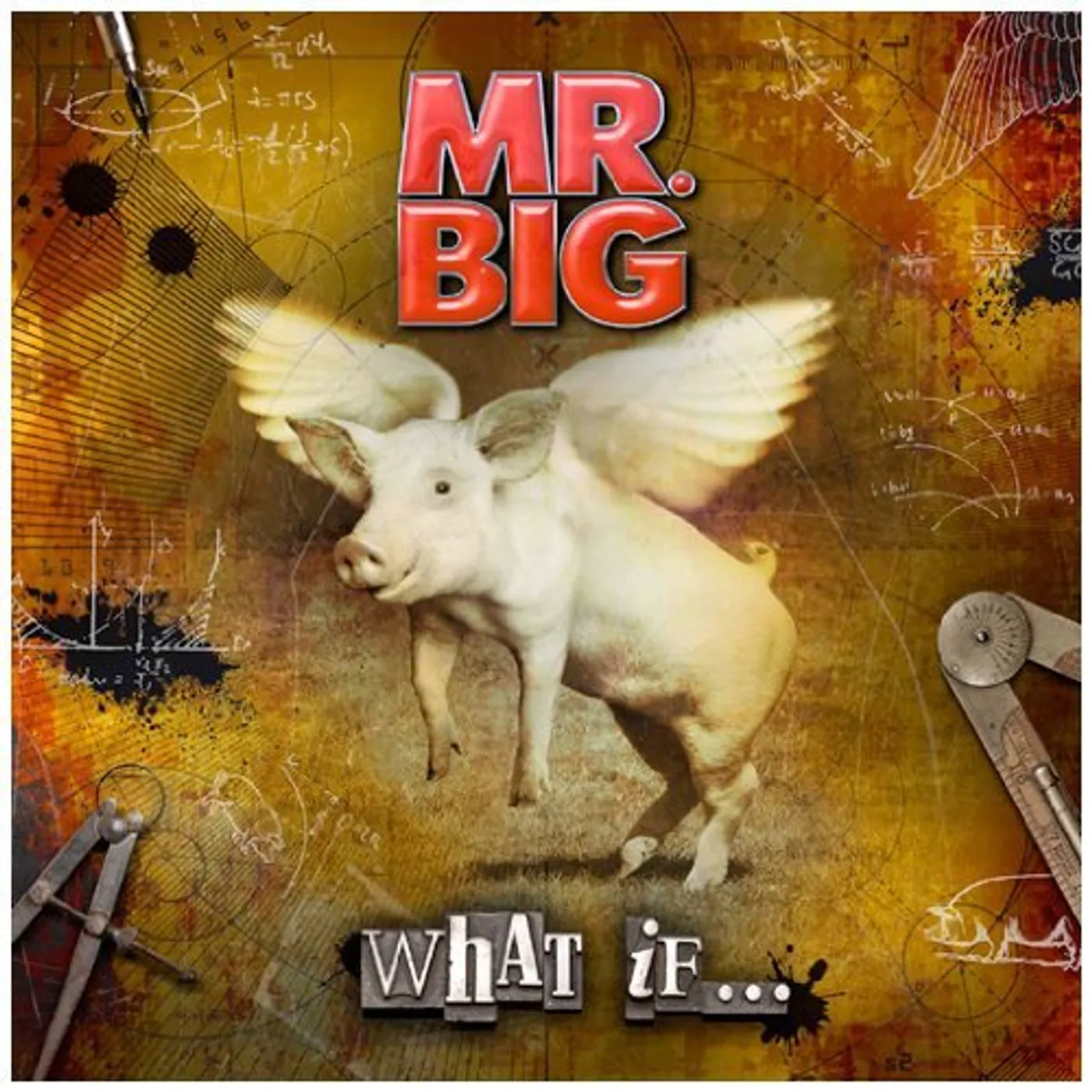 Mr. Big WHAT IF Vinyl Record