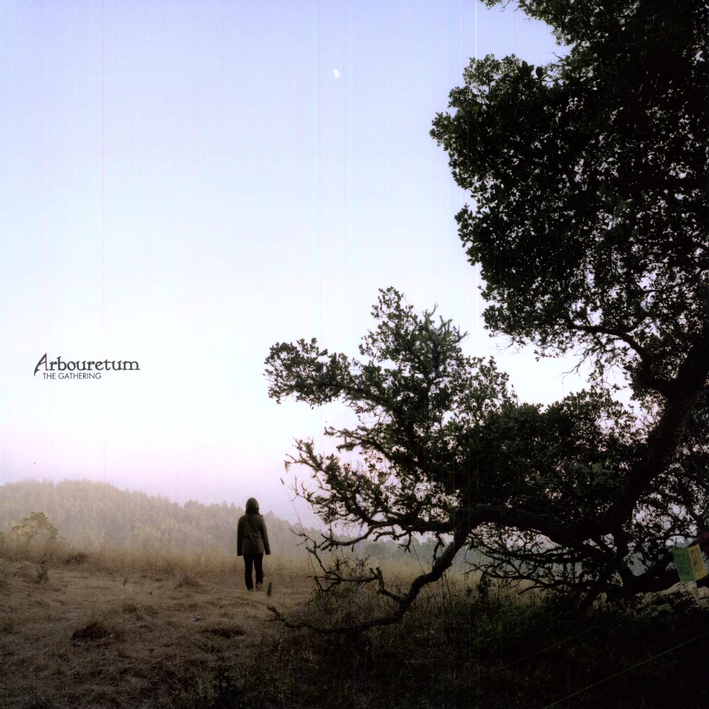 Arbouretum GATHERING Vinyl Record