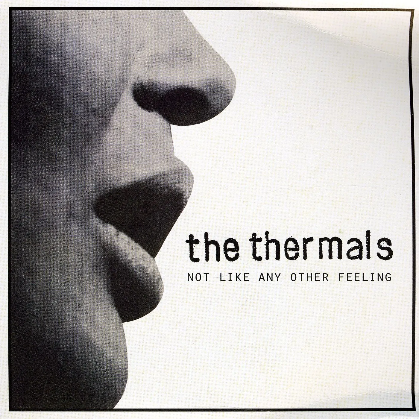 The Thermals NOT LIKE ANY OTHER FEELING Vinyl Record