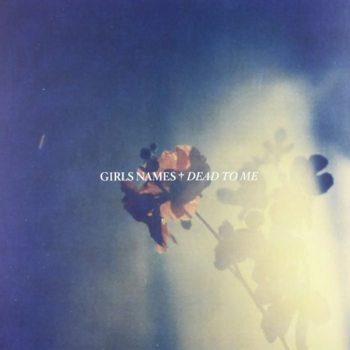 Girls Names Dead To Me Vinyl Record