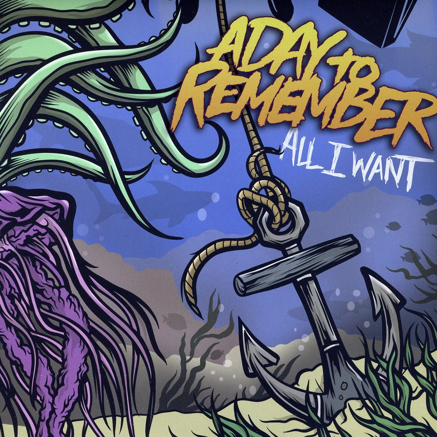 A Day To Remember All I Want Vinyl Record