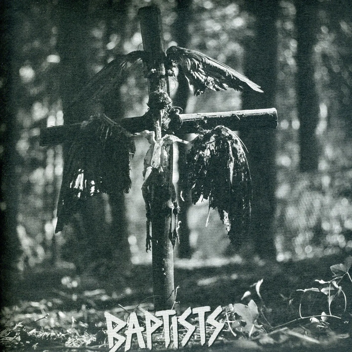 Baptists Good Parenting Vinyl Record