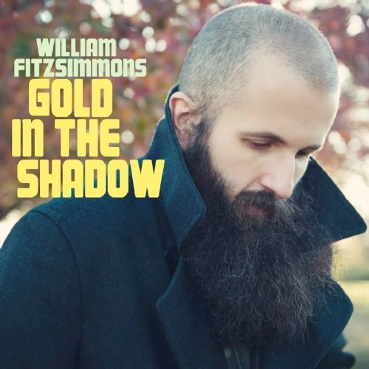 William Fitzsimmons Gold in the Shadow Vinyl Record