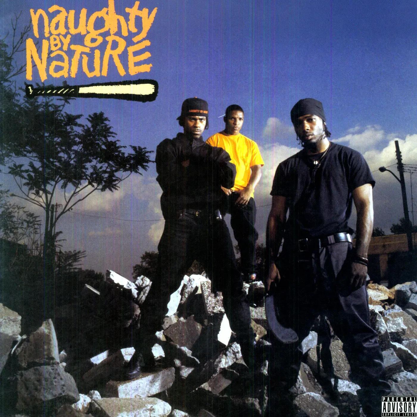 NAUGHTY BY NATURE Vinyl Record
