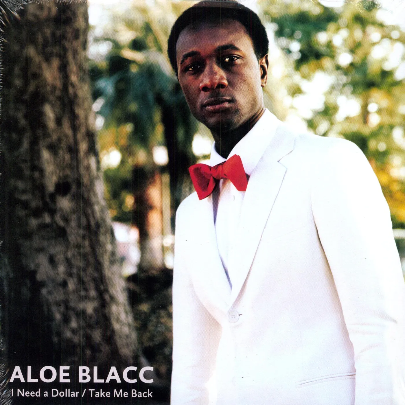 Aloe Blacc I Need A Dollar Vinyl Record